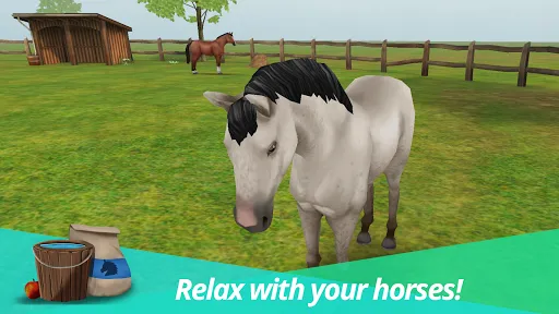 HorseWorld – My Riding Horse Screenshots