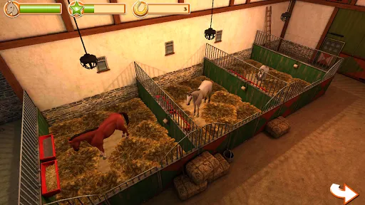 HorseWorld – My Riding Horse Screenshots