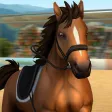 Horse World - Show Jumping Horse World - Show Jumping