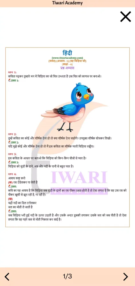 Class 6 Hindi Solution Guide Screenshots