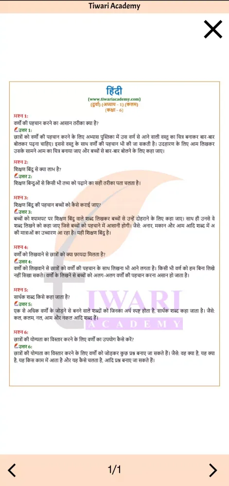 Class 6 Hindi Solution Guide Screenshots