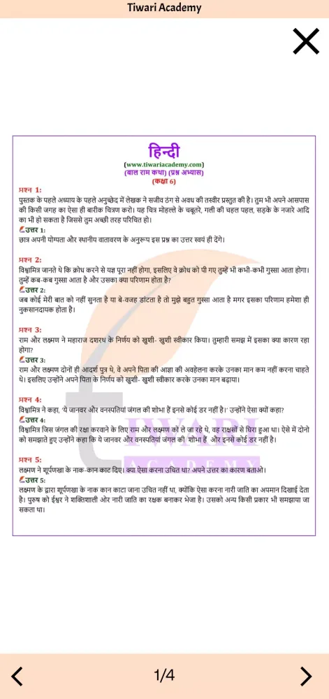 Class 6 Hindi Solution Guide Screenshots