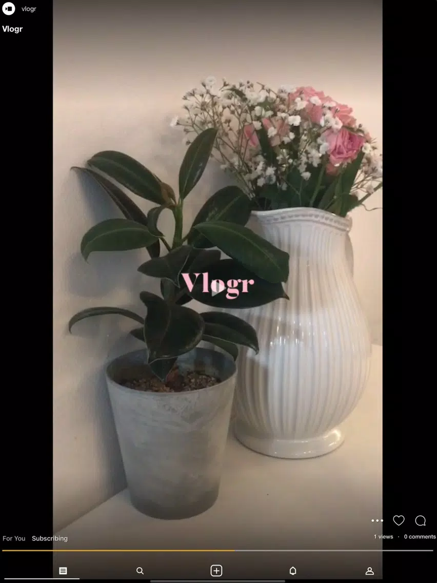 vlogr2 iPad  স্ক্রিনশট