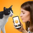 Cat Translator Cat Translator
