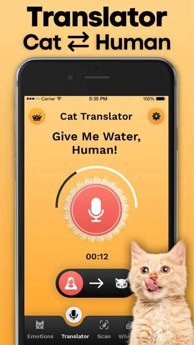 Cat Translator स्क्रीनशॉट