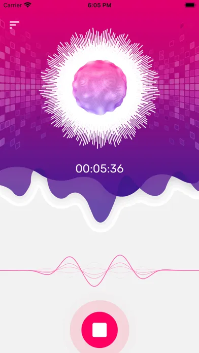 Voice Changer - Voice Recorder应用截图