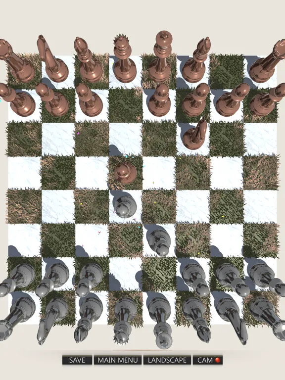 Real Chess 3rd iPad  스크린샷