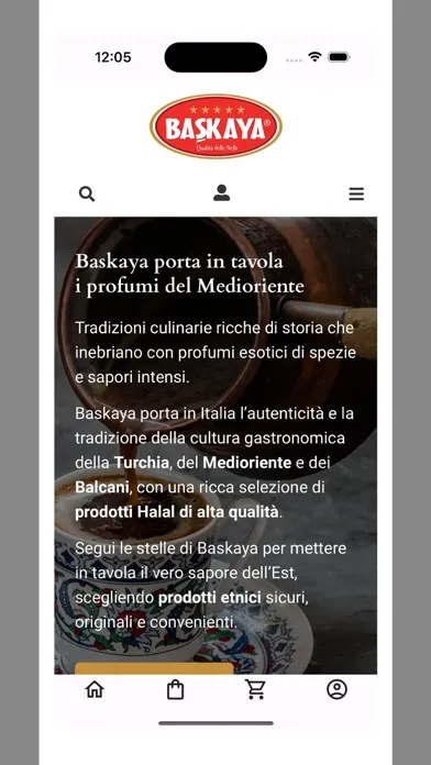 Screenshot di Baskaya
