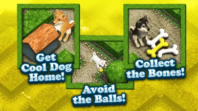Cool Dog 3D My Cute Puppy Maze Game for Kids Free স্ক্রিনশট