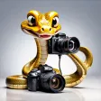 Snake Identifier - Snake ID Snake Identifier - Snake ID