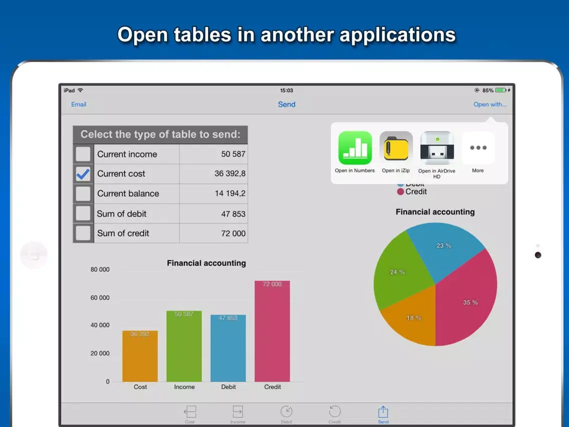 Expense income tracker pro iPad  سکرین شاٹس