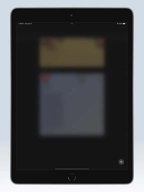 Tangkapan skrin Chappters - Notes iPad 