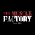 The Muscle Factory - S.N.V.