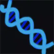 Higher Biology Quiz