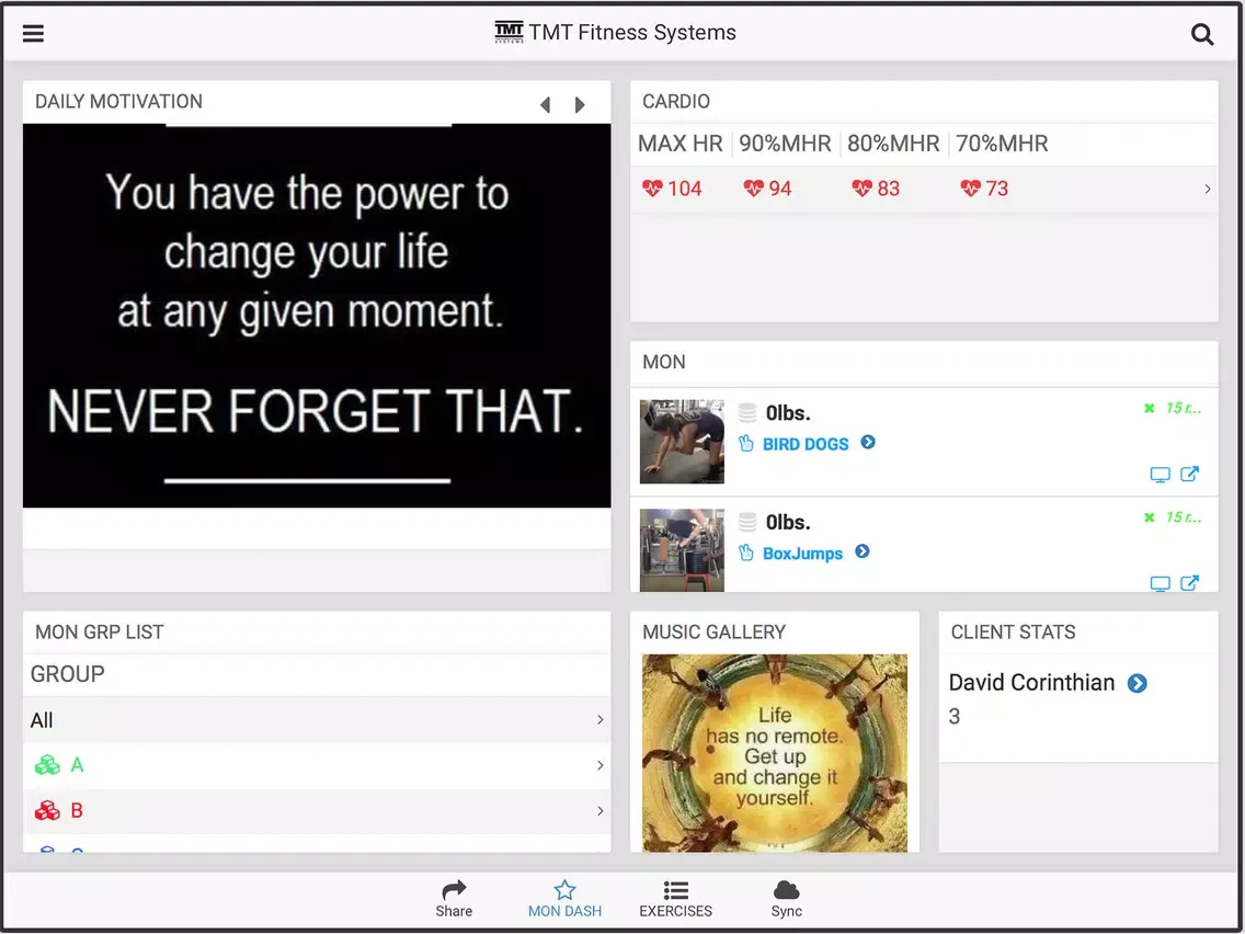 Capturas de tela do TMT SYSTEMS iPad 