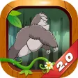 Forest Running