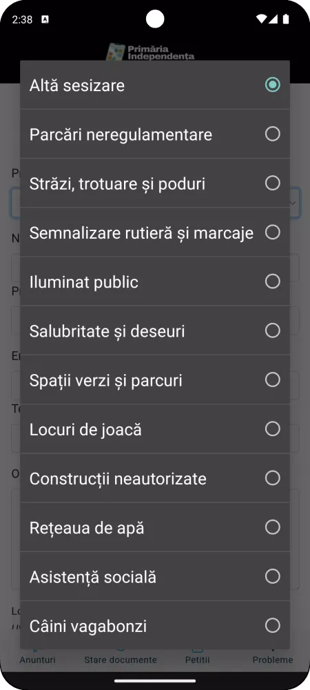 Independenta App Screenshots
