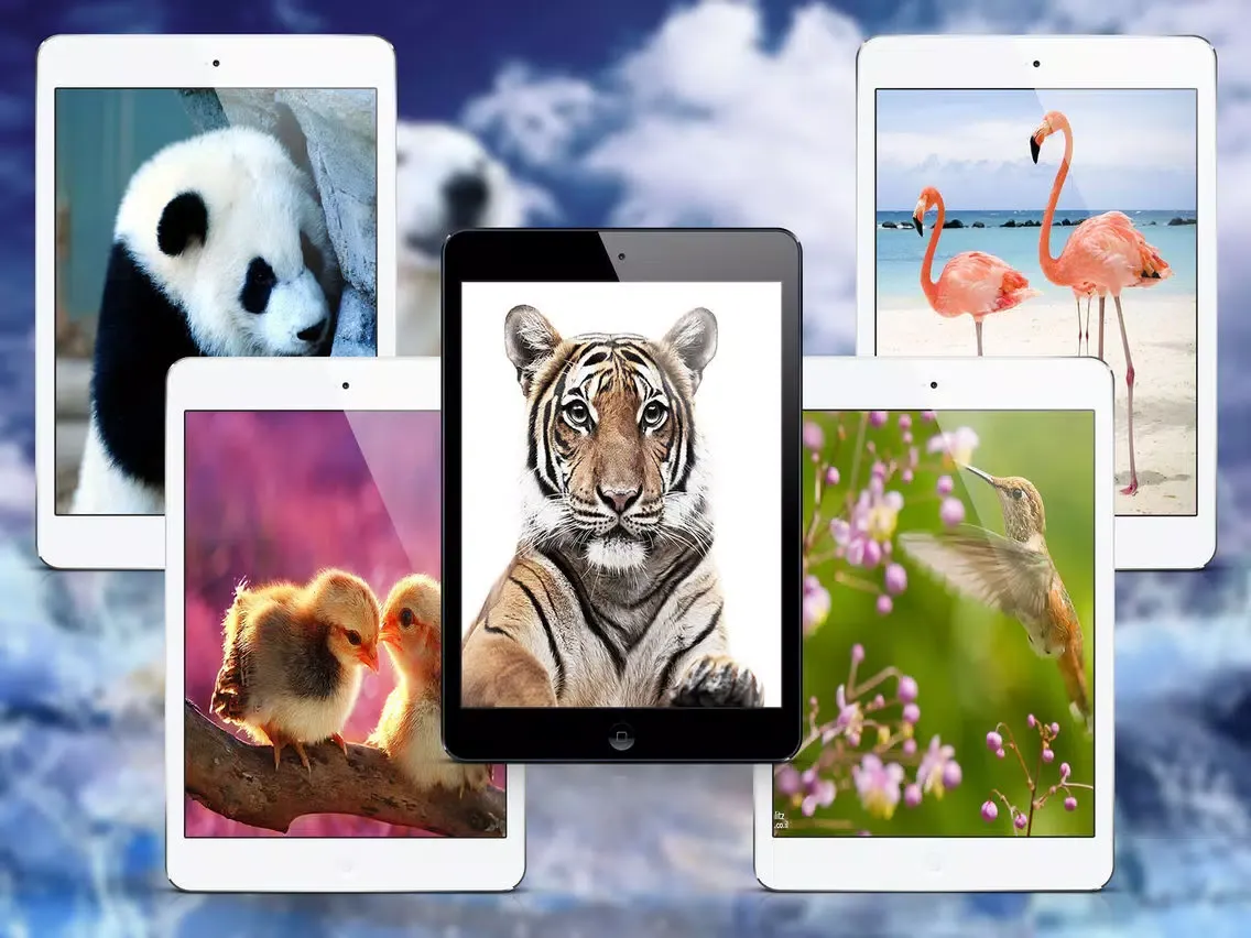 Tangkapan layar Wild Animals HD Wallpapers iPad 