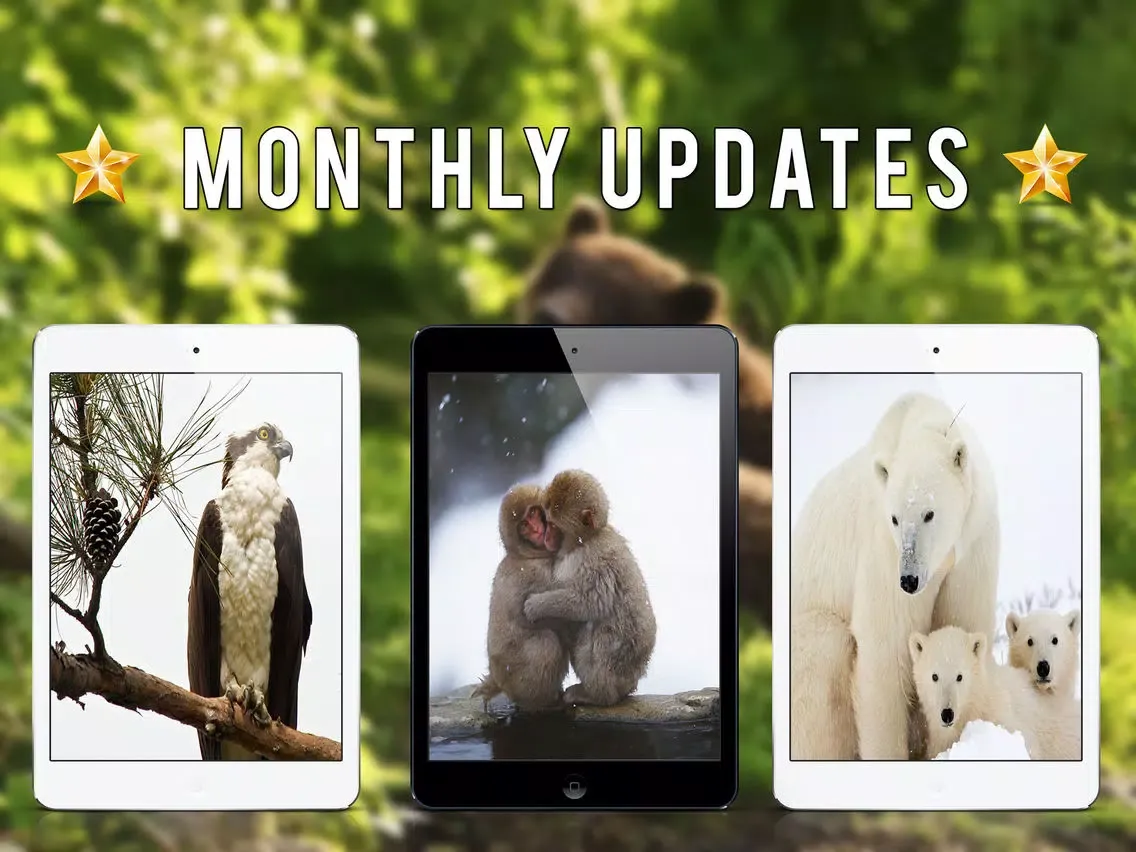 Tangkapan layar Wild Animals HD Wallpapers iPad 