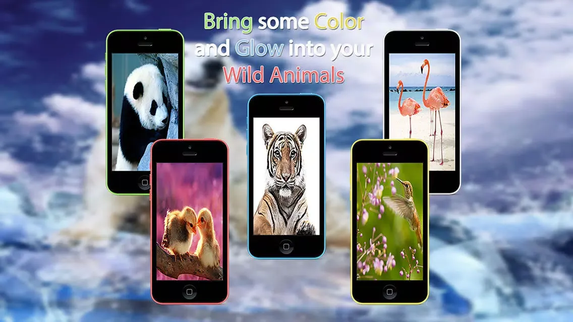 Tangkapan layar Wild Animals HD Wallpapers