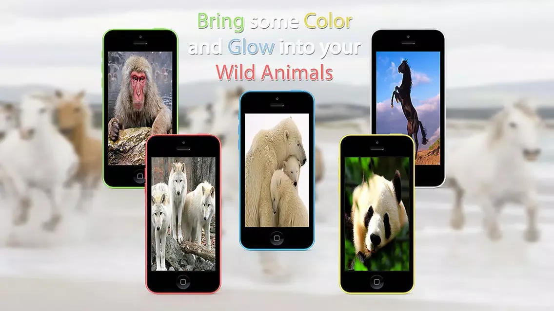Tangkapan layar Wild Animals HD Wallpapers