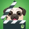 Toaster Pets Cartoons Toaster Pets Cartoons