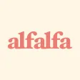 Alfalfa