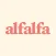Alfalfa