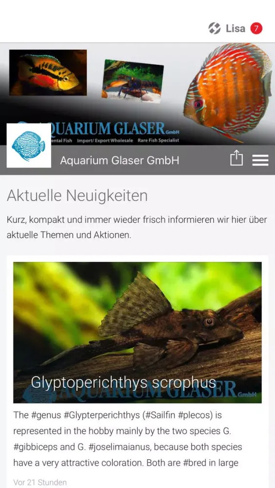 Aquarium Glaser GmbH Ekran Görüntüleri