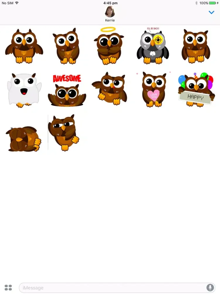 تصاویر Hooty Owl iPad 