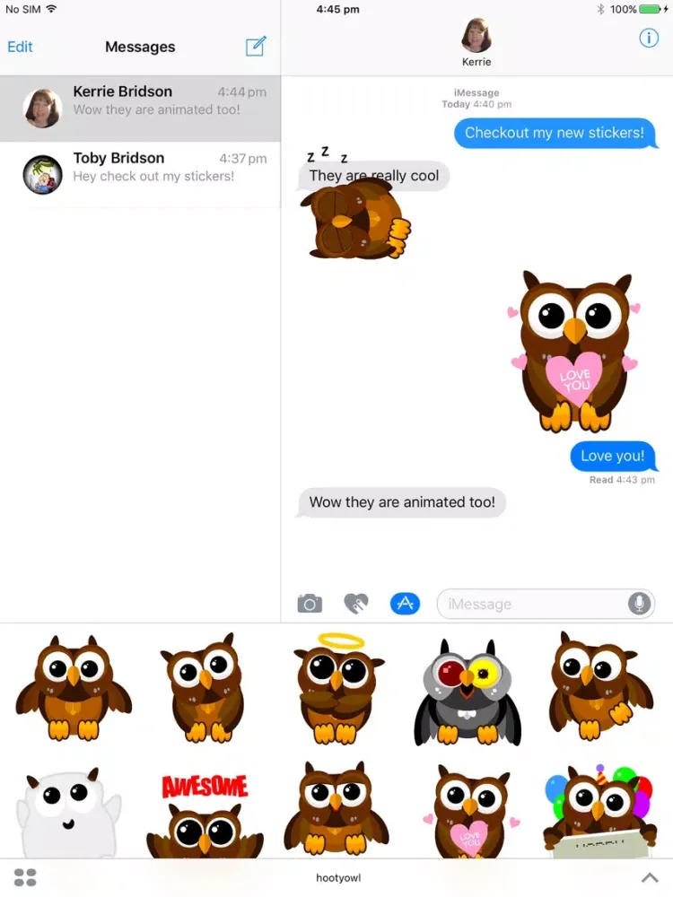 تصاویر Hooty Owl iPad 