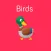 Birds Flashcard for babies and preschool