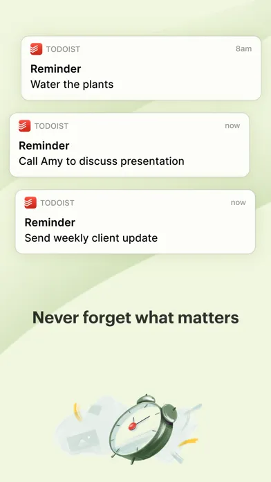 Todoist: To Do List & Calendar স্ক্রিনশট