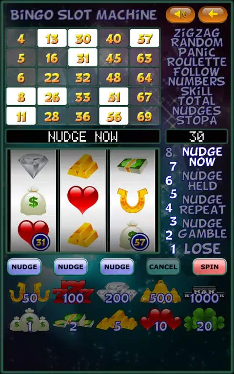 Bingo Slot Machine. Screenshots