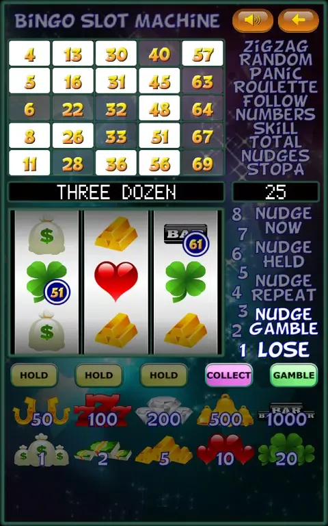 Bingo Slot Machine. Screenshots