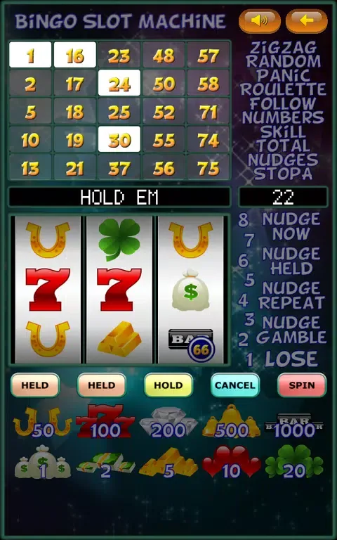 Bingo Slot Machine. Screenshots