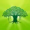 SpeakingTree