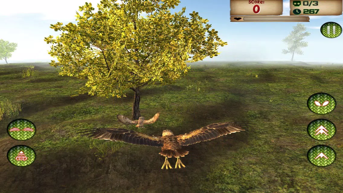 Capturas de tela do Crazy Eagle