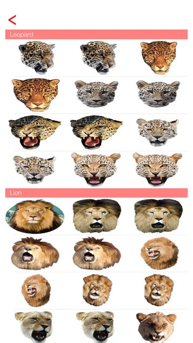 Capturas de pantalla de Animal Faces - Heads Camera