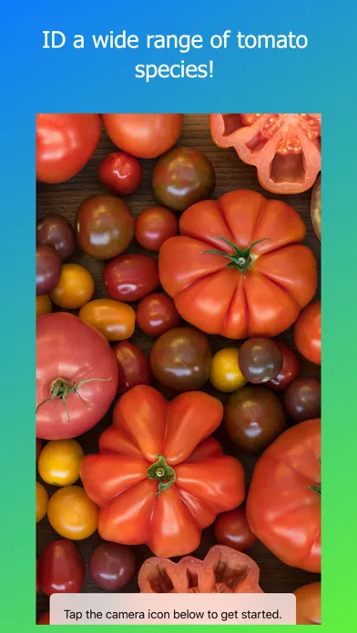 Скриншоты tomato ID