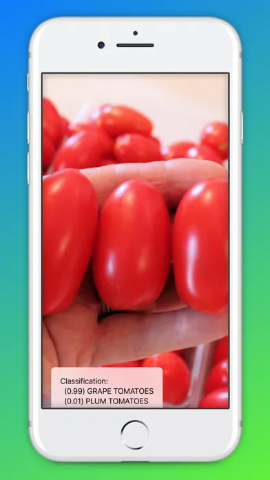 Скриншоты tomato ID