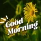 Good Morning Wishes 2024