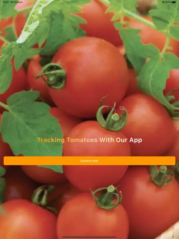 Ads Manager Business Partner iPad  Screenshots