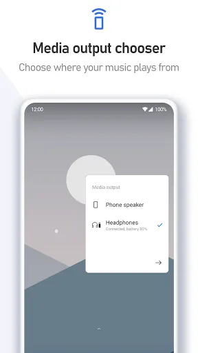 Volume Styles - Custom control Screenshots