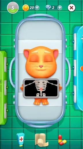 Virtual Pet Tommy - Cat Game Screenshots