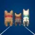 3 Dogs