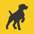Spaniel Spaniel
