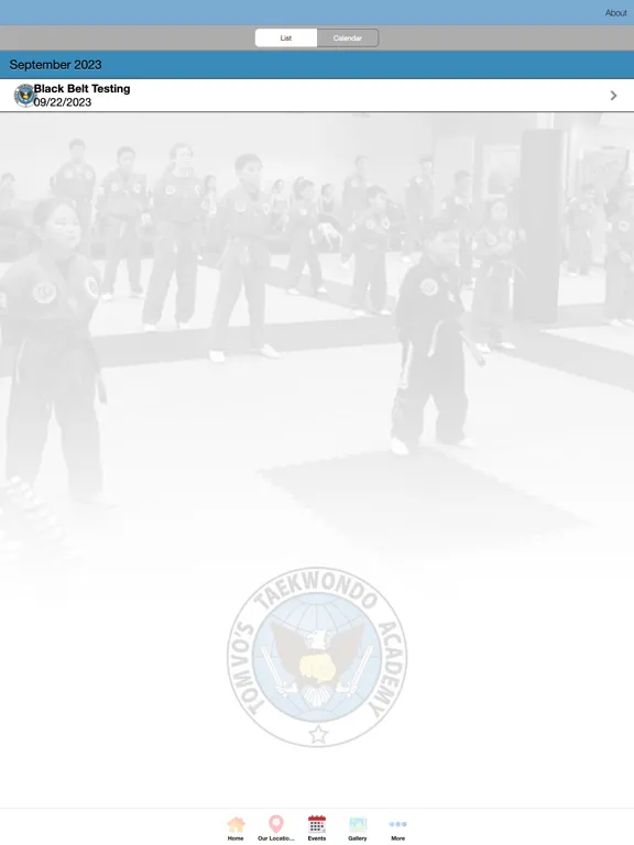 Скриншоты Tom Vo's Taekwondo iPad 