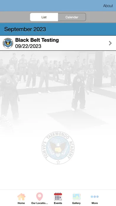 Скриншоты Tom Vo's Taekwondo