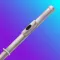 Learn & Play Flute - tonestro